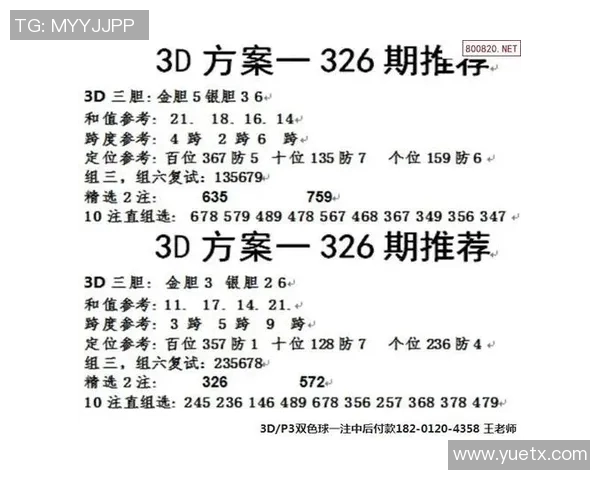 三地试机号最新动态分析及未来走势预测探讨