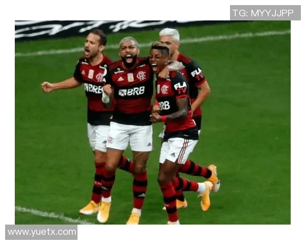 桑托斯主场迎战弗鲁米嫩塞期待精彩对决与精彩进球的较量