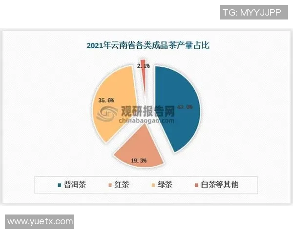 倪永康的政治生涯与影响分析：从权力中心到历史评价的深度探讨